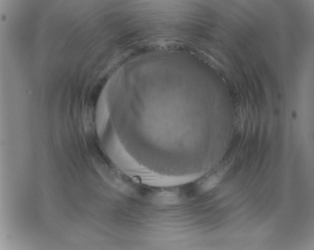 X0000075810236200610061739