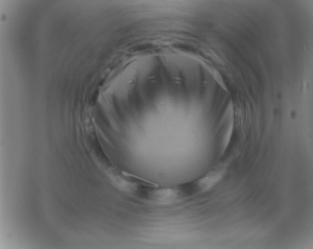 X0000075810237200610061739