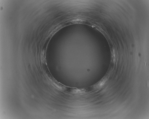 X0000075810239200610061739