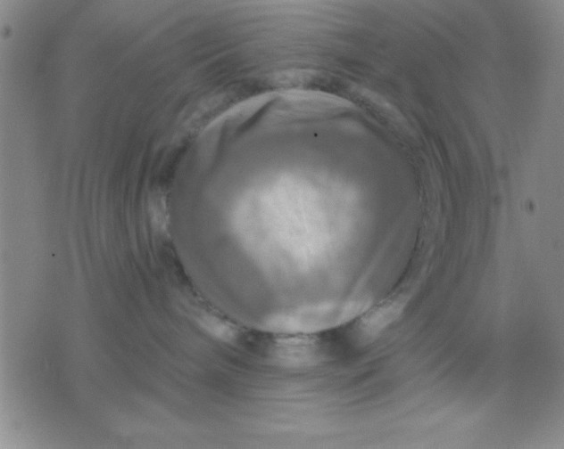 X0000075810240200610061739