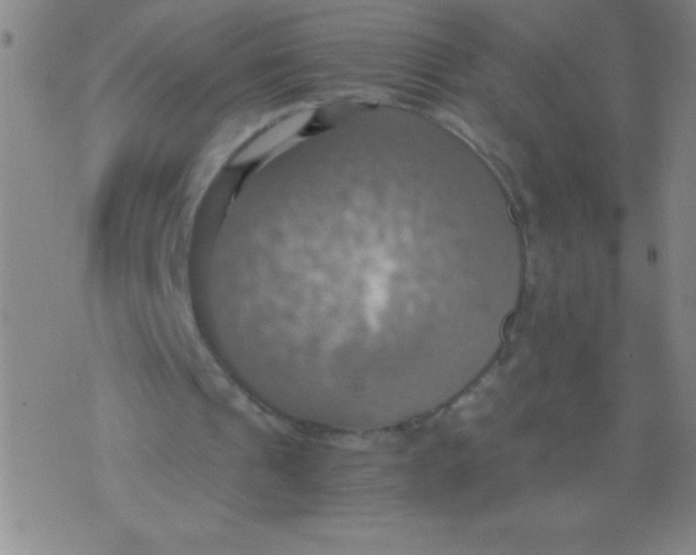 X0000075810241200610061739