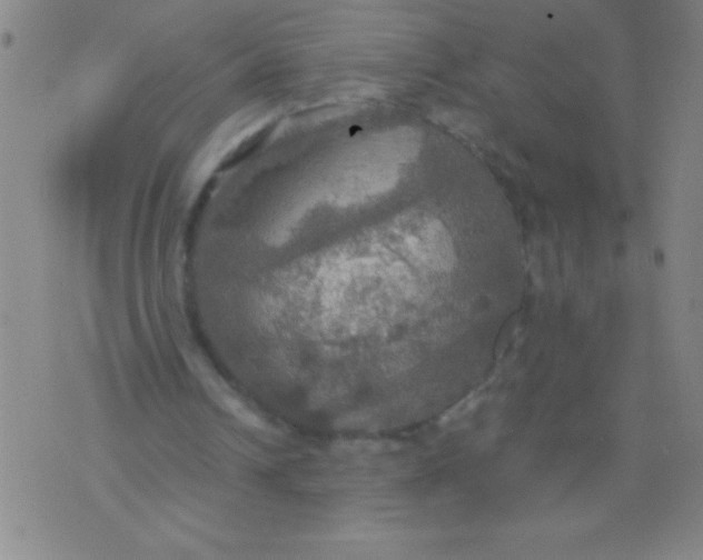 X0000075810242200610061739