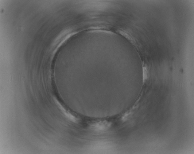 X0000075810243200610061739