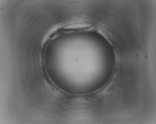 X0000075810244200610061739