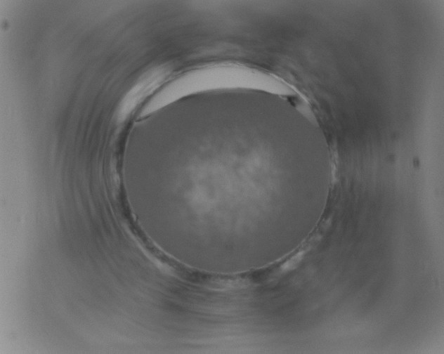 X0000075810245200610061739