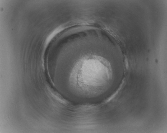 X0000075810246200610061739