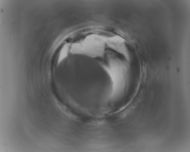 X0000075810247200610061739