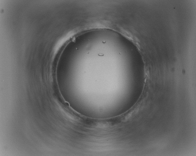 X0000075810248200610061739