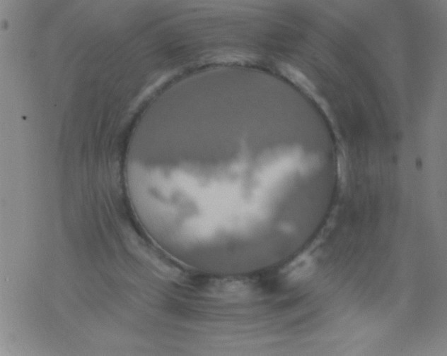 X0000075810249200610061739