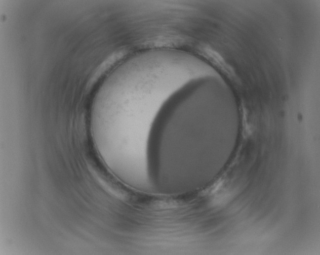 X0000075810250200610061739