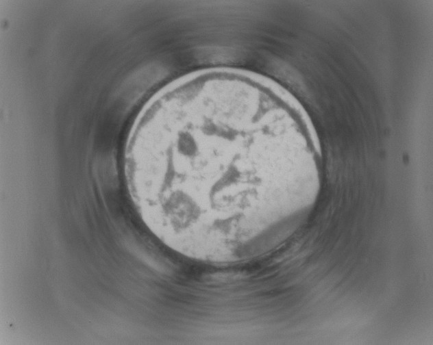 X0000075810251200610061739