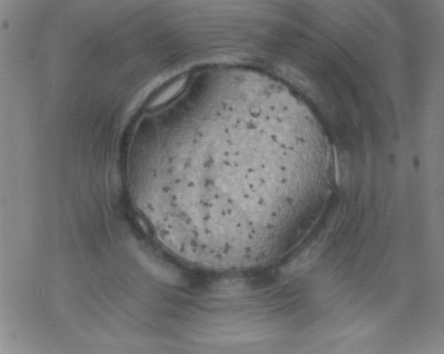 X0000075810252200610061739