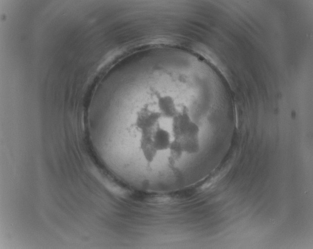 X0000075810253200610061739