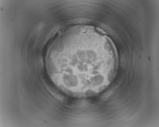 X0000075810254200610061739