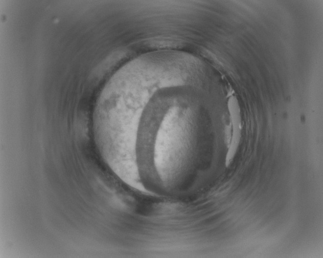 X0000075810255200610061739