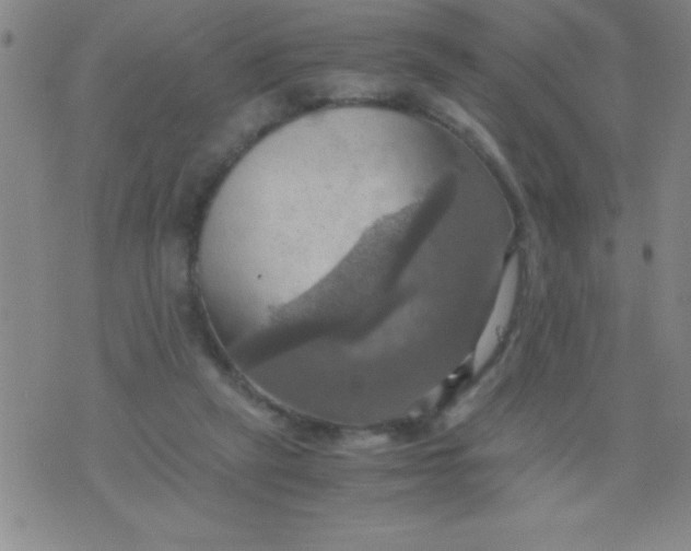 X0000075810257200610061739