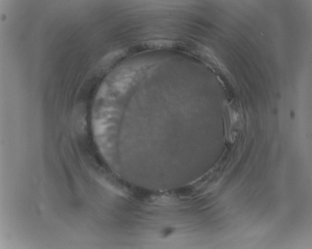 X0000075810259200610061739