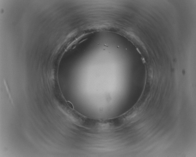 X0000075810260200610061739