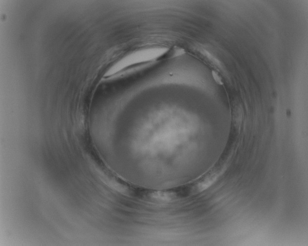 X0000075810261200610061739