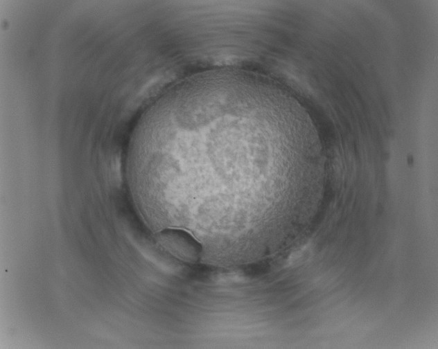 X0000075810262200610061739