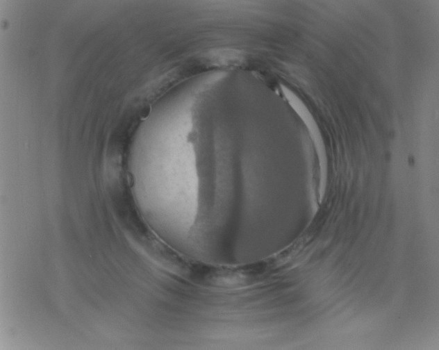 X0000075810263200610061739