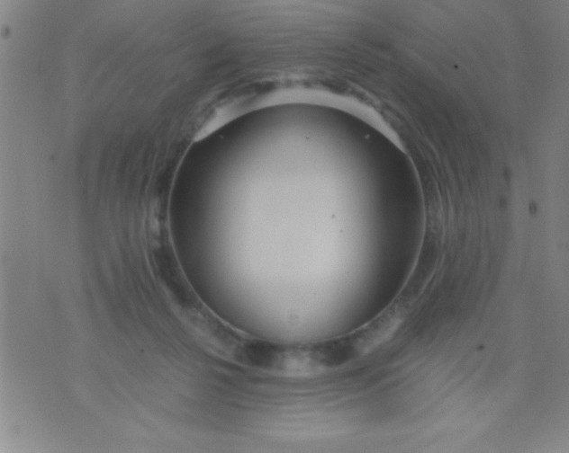 X0000075810264200610061739