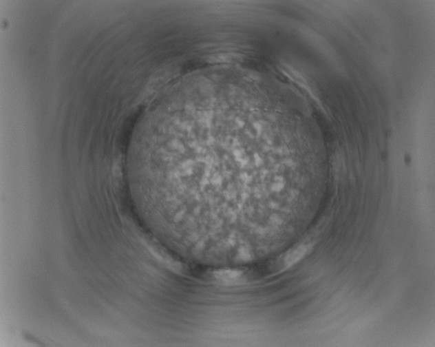 X0000075810265200610061739