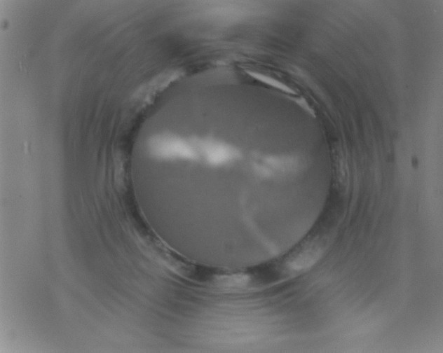 X0000075810266200610061739