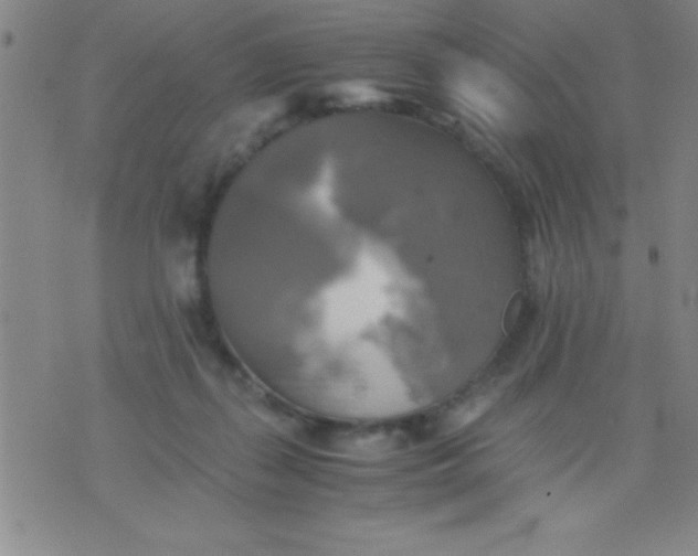 X0000075810267200610061739