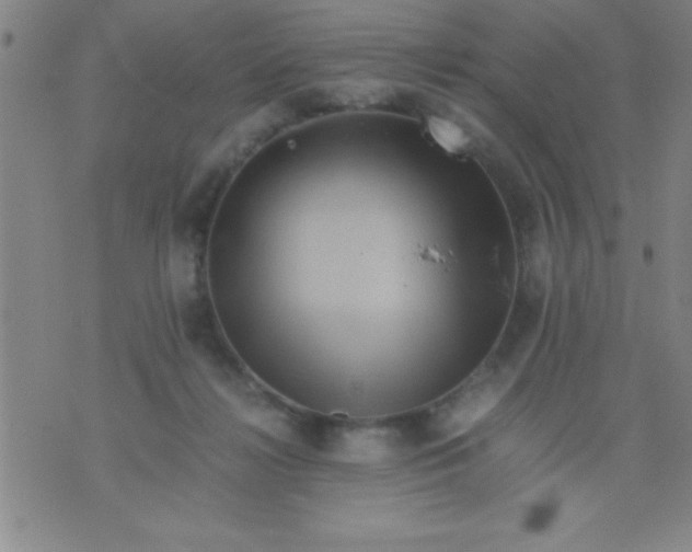 X0000075810268200610061739