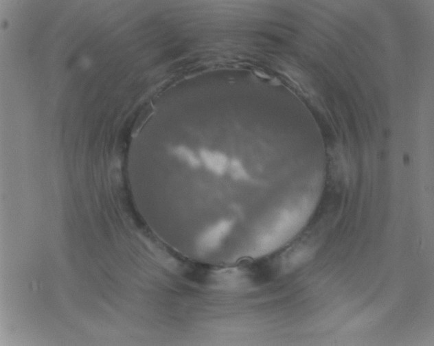 X0000075810269200610061739