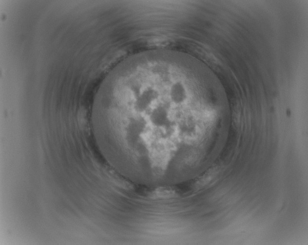 X0000075810270200610061739