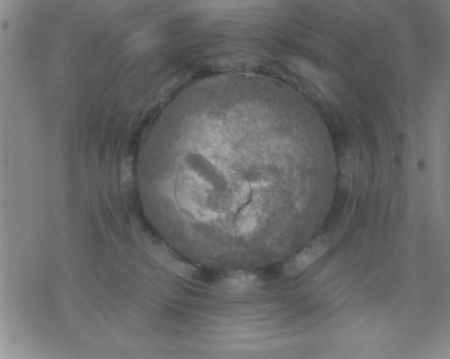 X0000075810278200610061739