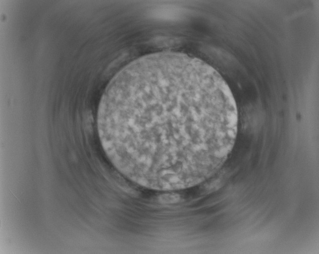 X0000075810279200610061739