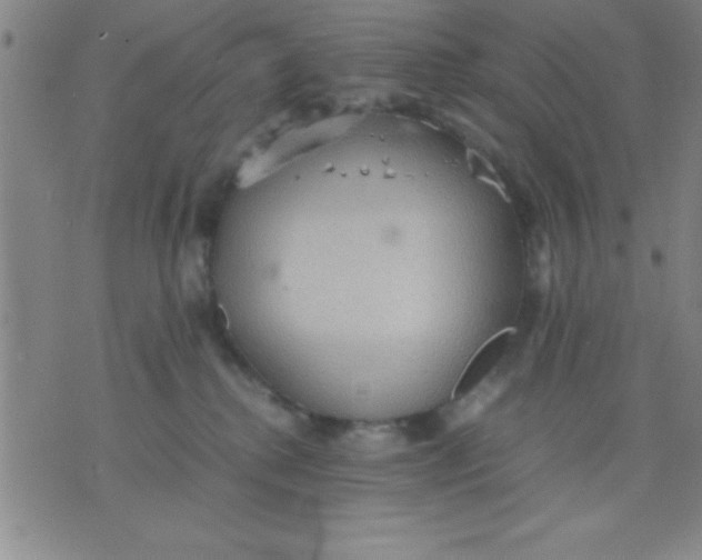 X0000075810280200610061739