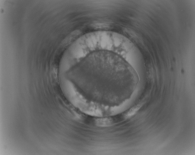 X0000075810281200610061739