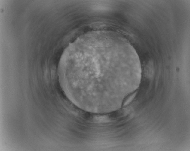 X0000075810283200610061739