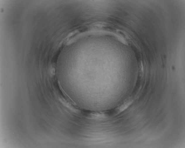 X0000075810284200610061739