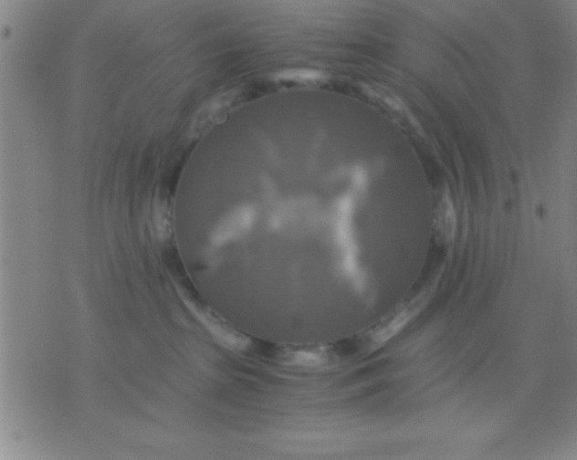 X0000075810285200610061739