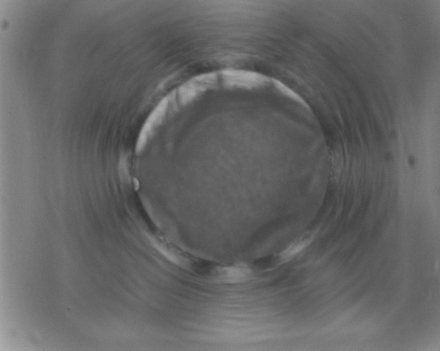 X0000075810286200610061739