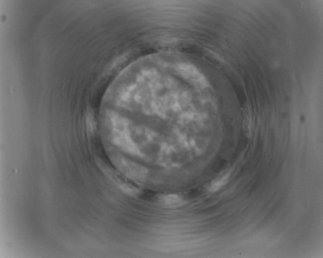 X0000075810287200610061739