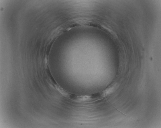 X0000075810288200610061739