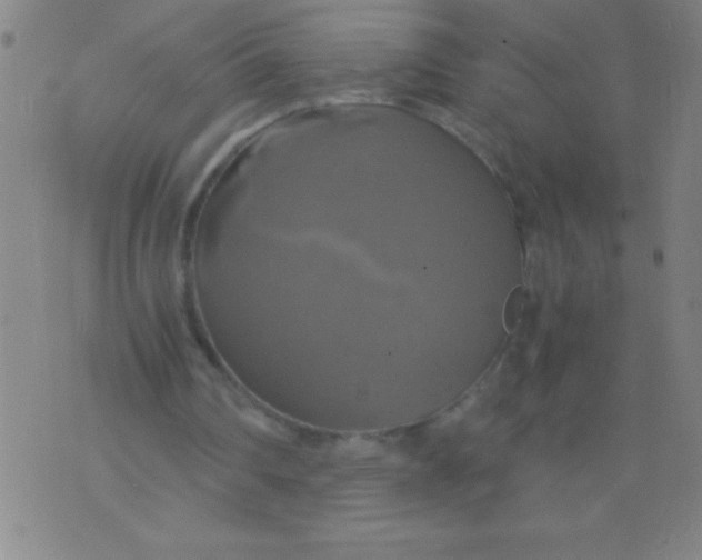 X0000075810290200610061739