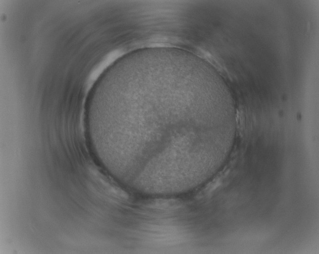 X0000075810292200610061739