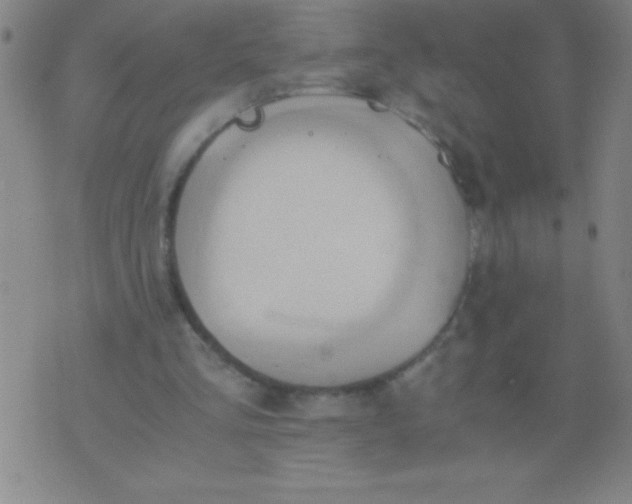 X0000075810293200610061739