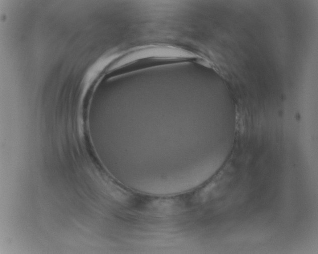 X0000075810294200610061739