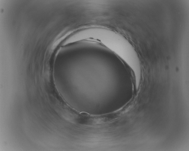 X0000075810295200610061739