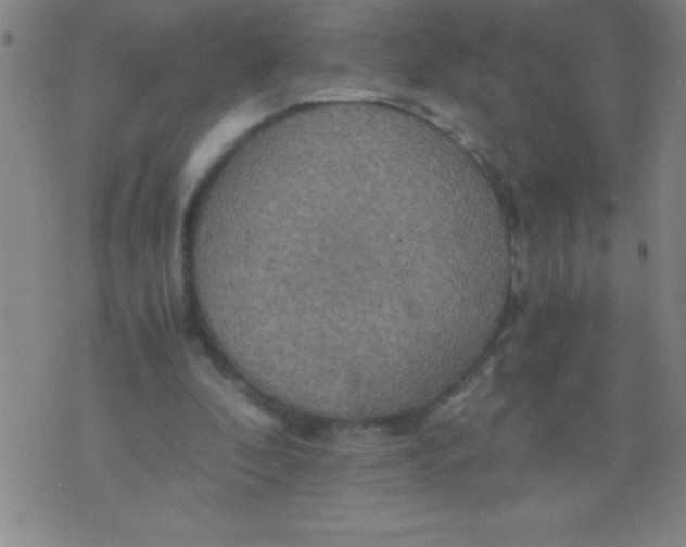 X0000075810296200610061738