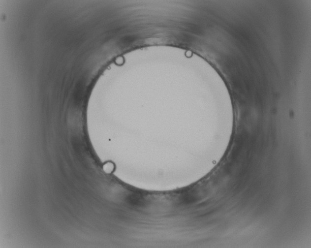 X0000075810297200610061738