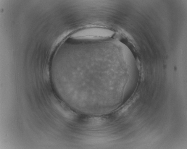 X0000075810298200610061738